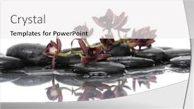  Presentation with reflection - Theme enhanced with branch-orchid-and-black-stones background and a white colored foreground