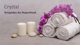  Presentation with pink white - Audience pleasing slide set consisting of branch-pink-orchid-flower backdrop and a light gray colored foreground