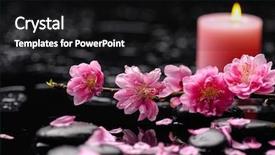  Presentation with branch - Audience pleasing presentation theme consisting of branch pink tropical flower candle backdrop and a black colored foreground