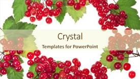  Presentation with recipe card - Slides featuring branch red viburnum card background and a cream colored foreground