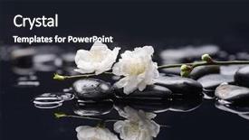  Presentation with bud - Colorful presentation enhanced with branch tropical flower and bud backdrop and a  colored foreground