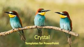  Presentation with yellow green - Cool new slides with branch with a natural green backdrop and a  colored foreground