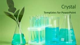  Presentation with tubes - Audience pleasing slides consisting of crossbreeding - branch with green leaves backdrop and a mint green colored foreground