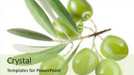  Presentation with olive branch - Audience pleasing PPT theme consisting of branch with green olives isolated backdrop and a mint green colored foreground