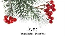  Presentation with christmas red - Theme featuring branch with red berries border background and a white colored foreground