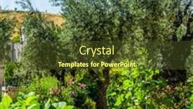  Presentation with gethsemane - PPT theme featuring branched-olive-trees-and-smooth background and a tawny brown colored foreground