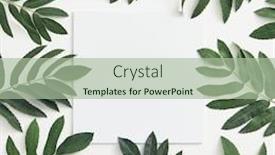  Presentation with botanical - Presentation having branches-leaves-top-view background and a mint green colored foreground