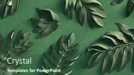  Presentation with botanical - PPT theme featuring branches-leaves-top-view background and a ocean colored foreground