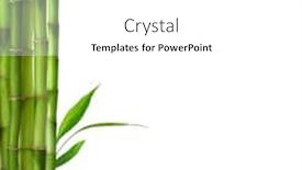  Presentation with bamboo - Presentation theme enhanced with branches-of-bamboo-isolated background and a white colored foreground