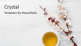  Presentation with green tea - Amazing presentation design having branches of blossoming apricot backdrop and a white colored foreground
