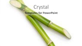  Presentation with white green - Presentation theme featuring branches-of-green-bamboo-isolated background and a white colored foreground