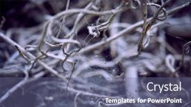  Presentation with plant - PPT theme with branches-of-plant-halloweet-background background and a ocean colored foreground