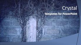  Presentation with plant - Presentation theme featuring branches-of-plant-halloweet-background background and a ocean colored foreground