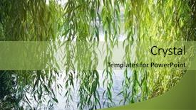  Presentation with lake - Colorful slides enhanced with branches of weeping willow near backdrop and a yellow colored foreground