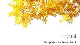  Presentation with japanese - Presentation with white background japanese pagoda background and a white colored foreground