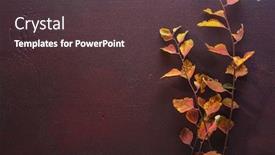  Presentation with leaves flat lay - Slide deck with branches-with-small-colorful-autumn background and a tawny brown colored foreground