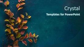  Presentation with dark blue green - Beautiful theme featuring branches-with-small-colorful-autumn backdrop and a ocean colored foreground