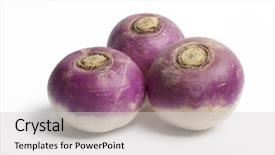  Presentation with purple - Beautiful slides featuring brassica - three whole purple headed turnips backdrop and a light gray colored foreground