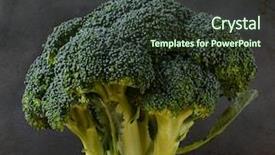  Presentation with cabbage - PPT theme with brassica oleracea - closeup of a a head background and a  colored foreground