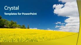  Presentation with vegetable seed - Slide deck having vegetable seed - field rapeseed against blue sky background and a ocean colored foreground