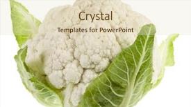  Presentation with cauliflower - Slides consisting of crucification - whole cauliflower isolated on white background and a lemonade colored foreground