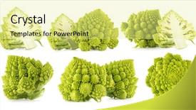  Presentation with fresh green broccoli - Presentation having brassica oleracea - 6 images of fresh romanesco background and a blonde colored foreground