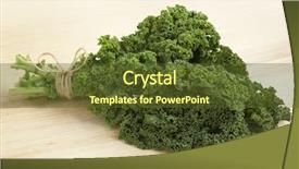  Presentation with organic - Amazing presentation theme having brassica oleracea - bouquet of fresh picked organic backdrop and a  colored foreground