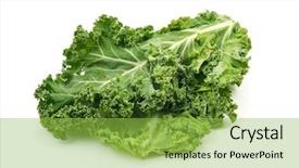  Presentation with leaves - Presentation with brassica oleracea - closeup of some leaves background and a yellow colored foreground