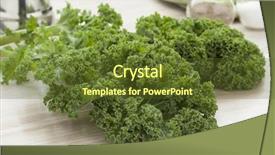  Presentation with free organic cosmetic - Colorful presentation theme enhanced with brassica oleracea - fresh picked organic curly kale backdrop and a  colored foreground