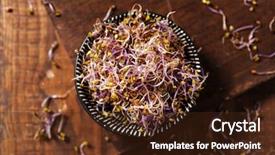  Presentation with pile - Slide deck with brassica oleracea - high angle view background and a tawny brown colored foreground