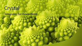  Presentation with spinach lettuce berries mushrooms broccoli - Colorful presentation design enhanced with brassica oleracea - romanesco broccoli background backdrop and a gold colored foreground
