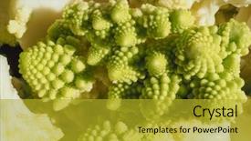  Presentation with vegan food - Theme with brassica oleracea aka romanesque cauliflower background and a gold colored foreground