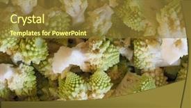  Presentation with vegan food - Audience pleasing presentation design consisting of brassica oleracea aka romanesque cauliflower backdrop and a tawny brown colored foreground