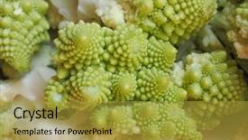  Presentation with vegan food - Cool new PPT layouts with brassica oleracea aka romanesque cauliflower backdrop and a gold colored foreground