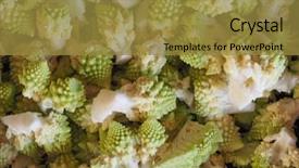  Presentation with vegan food - Colorful PPT layouts enhanced with brassica oleracea aka romanesque cauliflower backdrop and a gold colored foreground