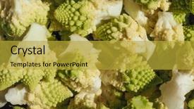  Presentation with vegan food - PPT theme featuring brassica oleracea aka romanesque cauliflower background and a gold colored foreground