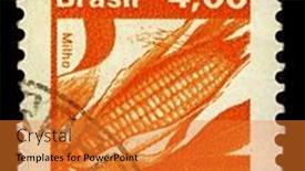  Presentation with maize - 