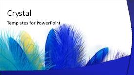  Presentation with brazil carnival - PPT layouts with brazil festival - blue feathers on white background background and a white colored foreground