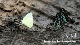  Presentation with mineral - Beautiful PPT layouts featuring brazil national colours - closeup image of crowded backdrop and a dark gray colored foreground