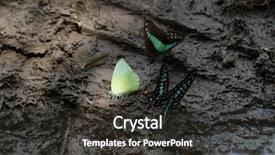  Presentation with mineral - Amazing slide set having brazil national colours - closeup image of crowded backdrop and a dark gray colored foreground