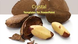  Presentation with brazil - PPT layouts having brazil-nut-in-shell background and a tawny brown colored foreground