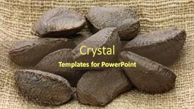  Presentation with brazil - Cool new PPT layouts with brazil-nuts-in-shell-isolated backdrop and a tawny brown colored foreground