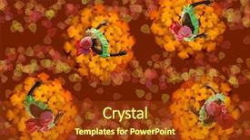  Presentation with colorful flower - Audience pleasing theme consisting of brazilian music - tropical african american caribbean dancers backdrop and a tawny brown colored foreground