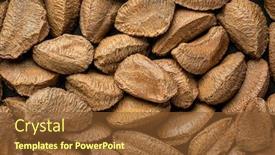  Presentation with shells - Colorful presentation design enhanced with brazilian-nuts-in-shells-against backdrop and a tawny brown colored foreground