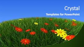  Presentation with hill - Beautiful slides featuring flowers on the hill backdrop and a cobalt blue colored foreground