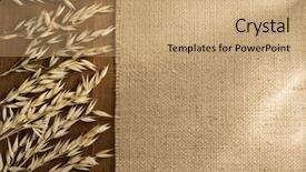  Presentation with bread life - Slides enhanced with bread life - ears of oat on wooden background and a coral colored foreground