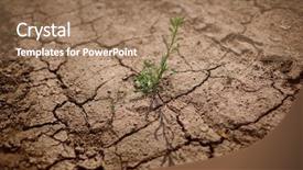  Presentation with breaking through - Amazing presentation having breaking - green grass growing through dry backdrop and a coral colored foreground