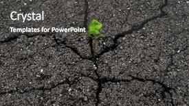  Presentation with asphalt - Presentation theme enhanced with breaking - green plant in cracked asphalt background and a dark gray colored foreground