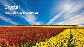  Presentation with sun breaking through clouds - Presentation design with is breaking through the cirrus background and a teal colored foreground