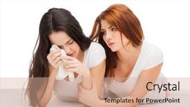  Presentation with friendship - Theme having amber fort or amer - fortified background and a gray colored foreground